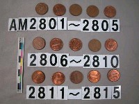 藏品(美國1分硬幣)的圖片